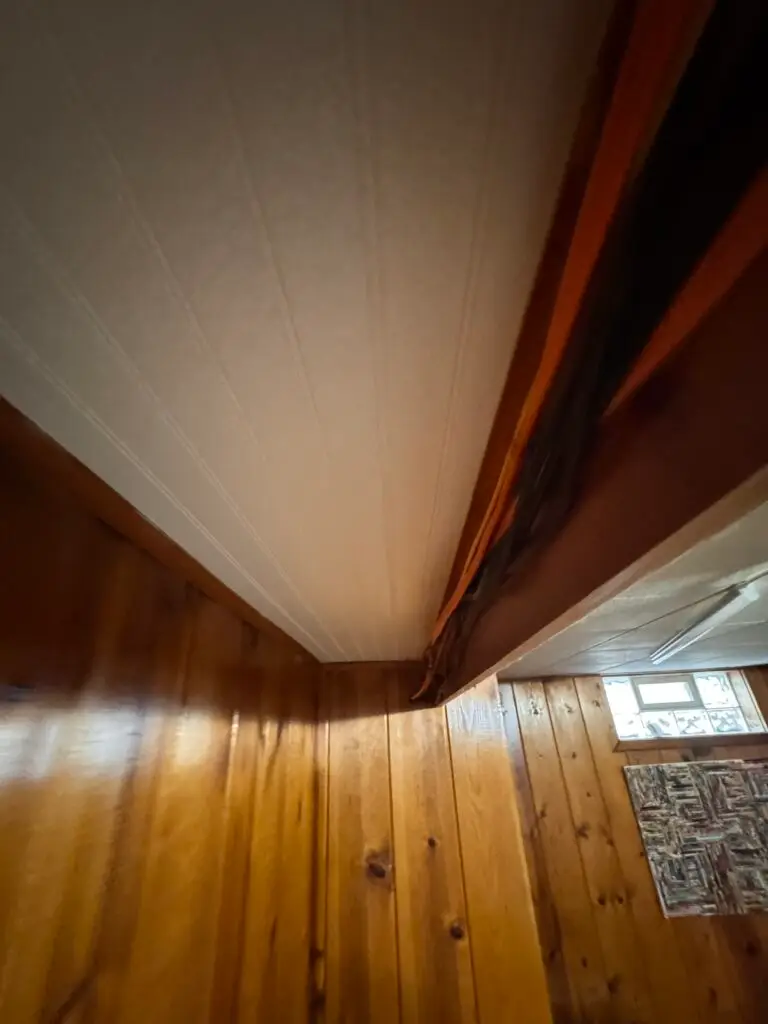 Basement Ceiling Panel Repair in Grand Rapids
