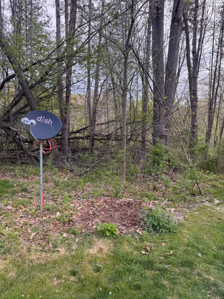 Satellite Dish Removal in Belmont