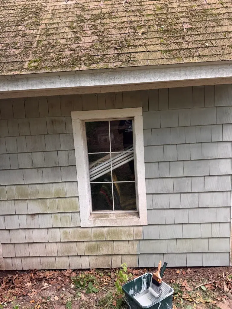 Shed Staining Service in Cascade — cascace handyman